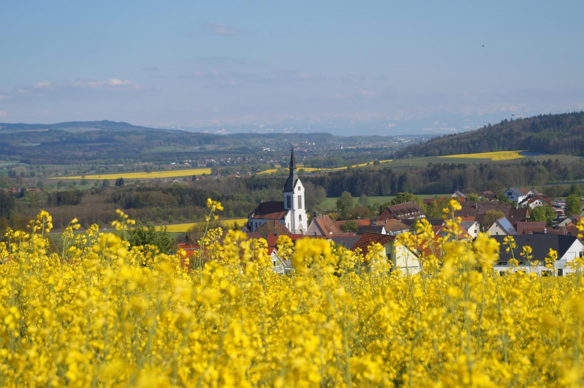 Landhotel Schellenberg Uberlingen Bagian luar foto